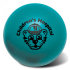Promotional Teal